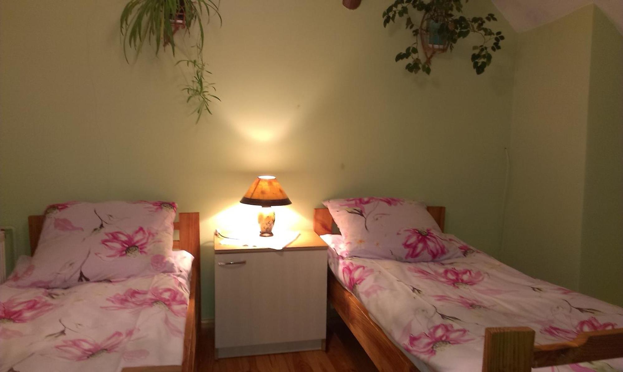 Agro-Tur Domki W Szuwarach Kuty Quarto foto