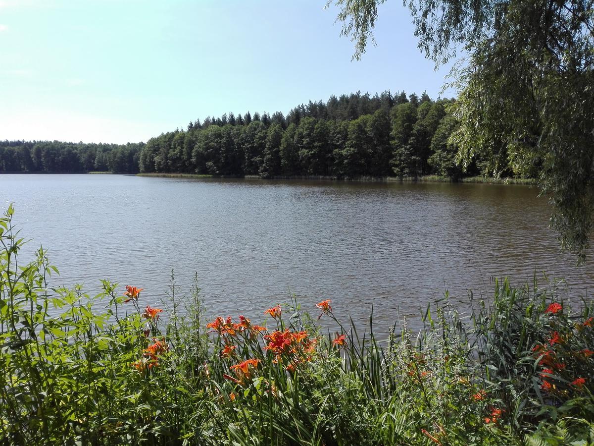 Agro-Tur Domki W Szuwarach Kuty Exterior foto