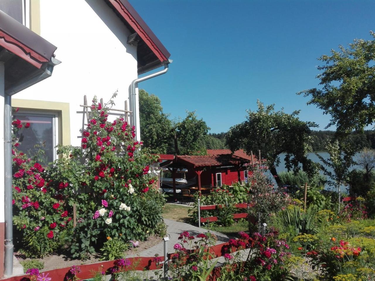 Agro-Tur Domki W Szuwarach Kuty Exterior foto